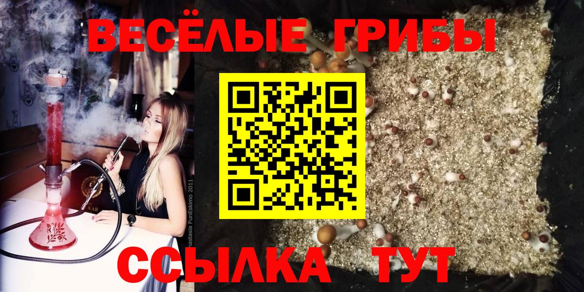 Галлюциногенные грибы Psilocybe  Вход с VPN  Ярославль 